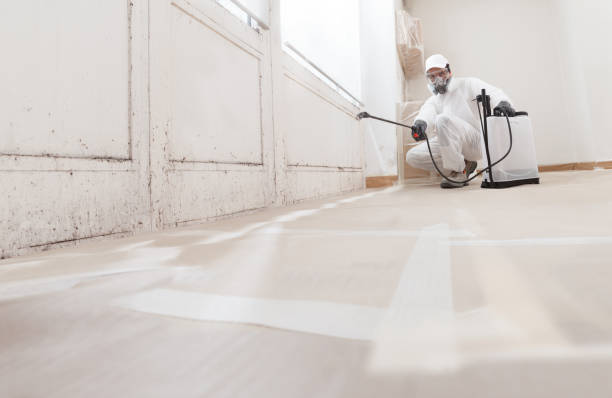24/7 Emergency Mold Remediation experts in Juliustown, NJ