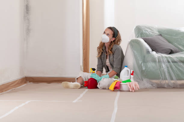 Reliable Mold Remediation contractor in Juliustown, NJ by 24 Hour Mold Removal